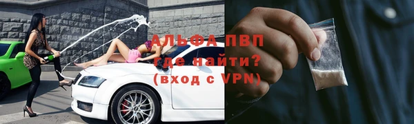 винт Лабытнанги