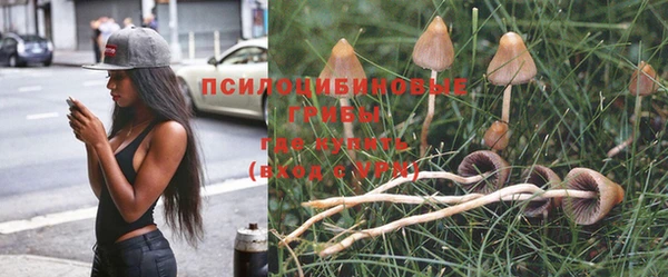герыч Ладушкин