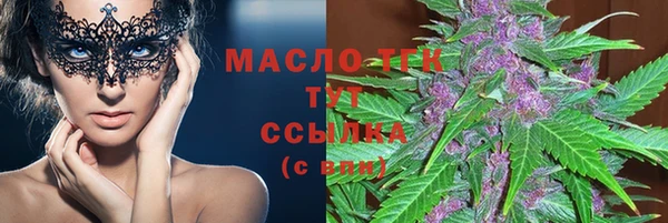 винт Лагань