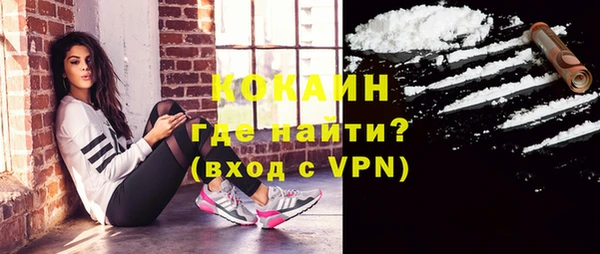 шишки Майский