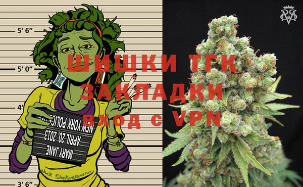 шишки Майский