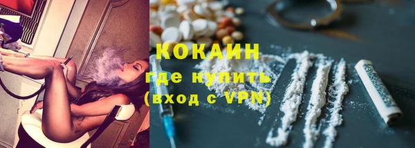 винт Лабытнанги