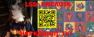 винт Кингисепп