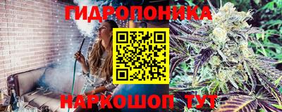 винт Кингисепп