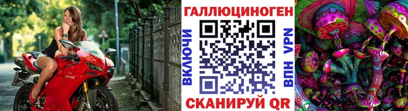 Галлюциногенные грибы мухоморы  Сунжа 