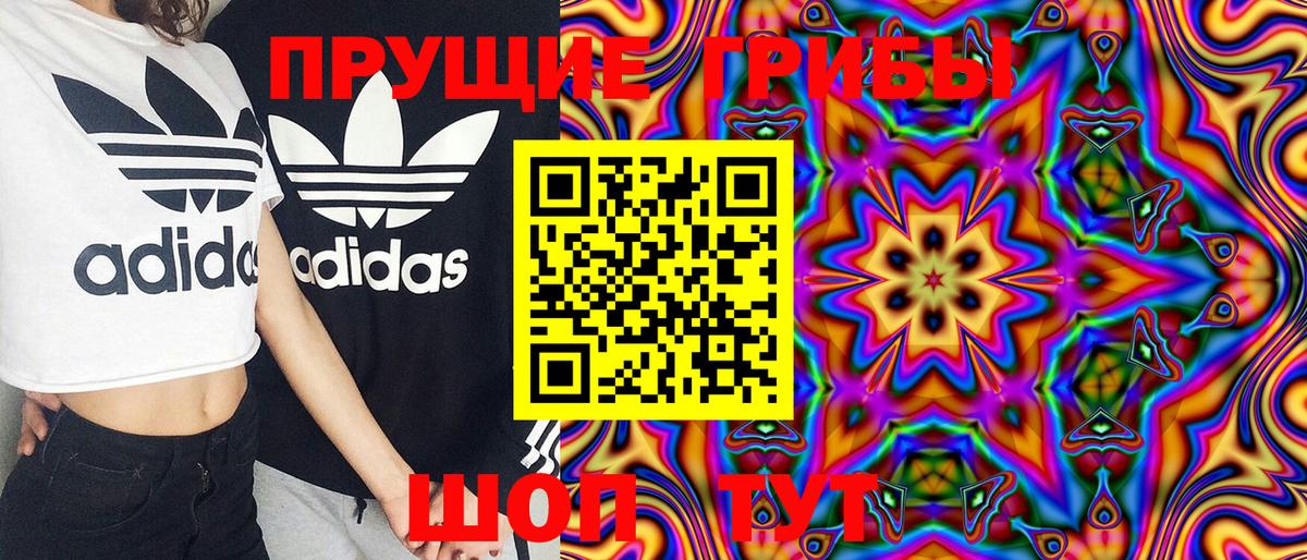 закладки  Сунжа  Галлюциногенные грибы GOLDEN TEACHER 